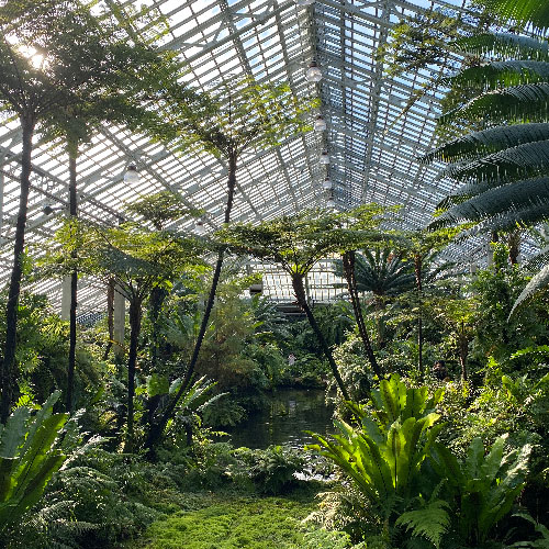 Garfield Park Conservatory